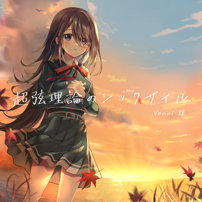 Superstring Theory Schicksal Front Cover