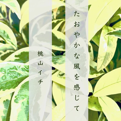 Feel the Gentle Breeze Front Cover