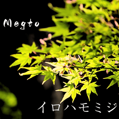 Acer palmatum Front Cover