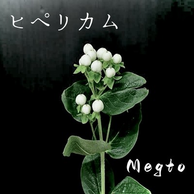 Hypericum Front Cover