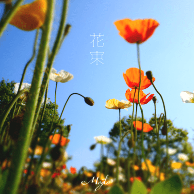 Bouquet Front Cover