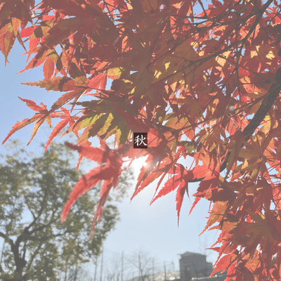 autumn Front Cover