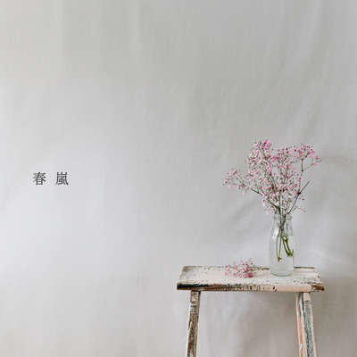 春嵐のジャケット写真