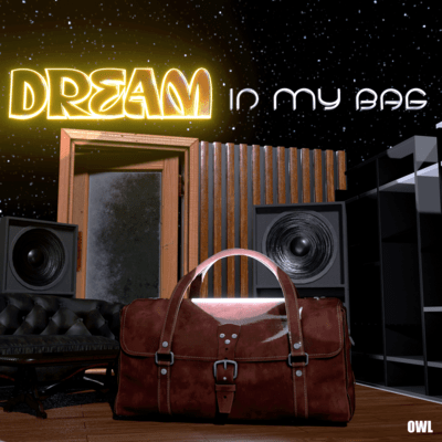 Dream In My Bag Front Cover