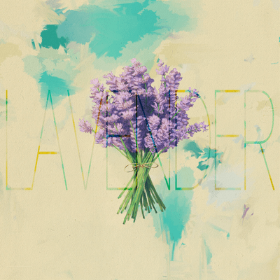 Lavender Front Cover