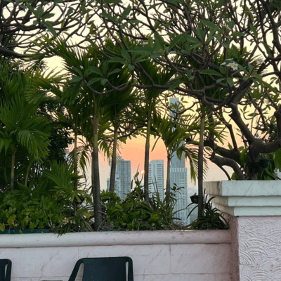 Next Stage2024のジャケット写真