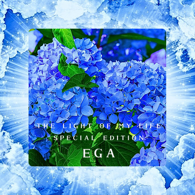 THE LIGHT OF MY LIFE (Special Edition) Front Cover