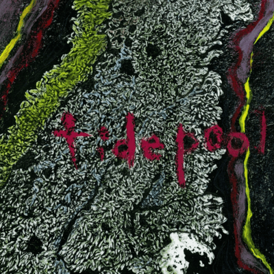 tide pool Front Cover