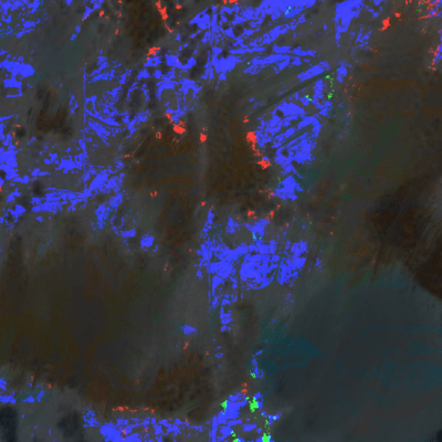 THICK 'BROWS Front Cover