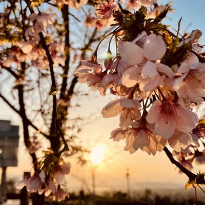 君のことだけのジャケット写真