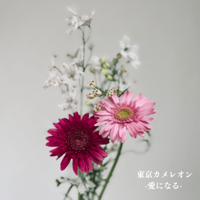 愛になるのジャケット写真