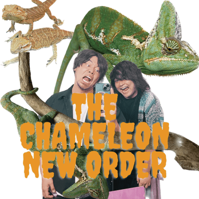 THE CHAMELEON NEW ORDERのジャケット写真