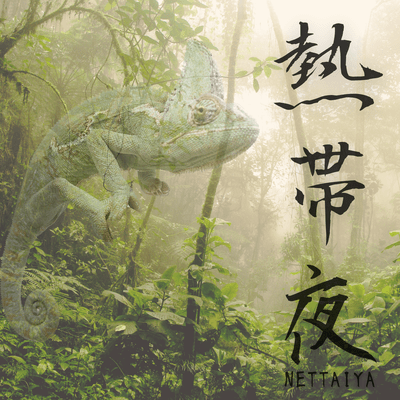 NETTAIYA Front Cover