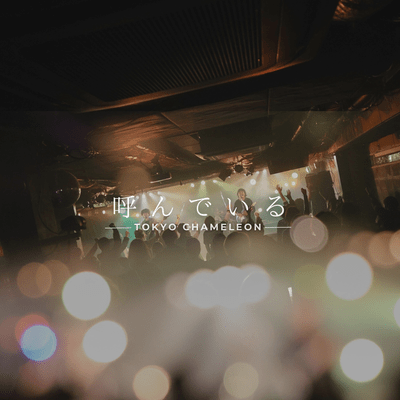 呼んでいる (2025 ver.)のジャケット写真