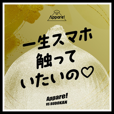 IssyouSumahoSawatteitaino Front Cover