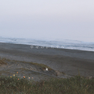 shiawasenokatasumi Front Cover