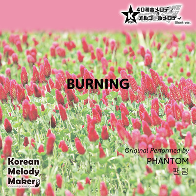 BURNING~K-POP 40tone Polyphonic Melody & Music Box (Short Version) Front Cover