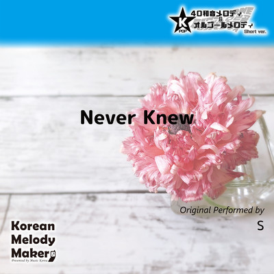 Never Knew~K-POP 40tone Polyphonic Melody (Short Version) Front Cover