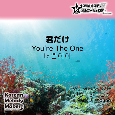 You're The One~K-POP 40tone Polyphonic Melody & Music Box (Short Version) Front Cover