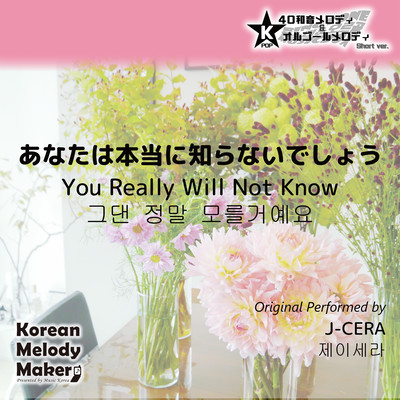 You Really Will Not Know~K-POP 40tone Polyphonic Melody & Music Box (Short Version) Front Cover