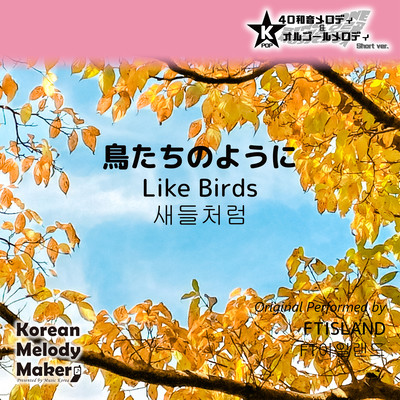 Like Birds~K-POP 40tone Polyphonic Melody & Music Box (Short Version) Front Cover