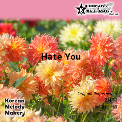 Hate You~K-POP 40tone Polyphonic Melody & Music Box (Short Version) Front Cover