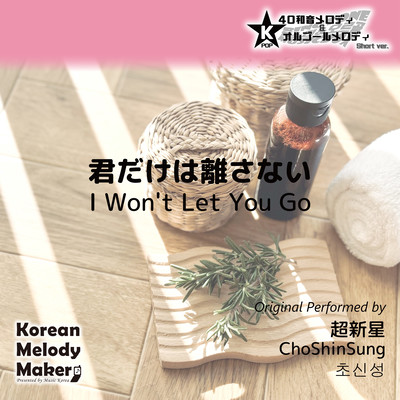 I Won't Let You Go~K-POP 40tone Polyphonic Melody & Music Box (Short Version) Front Cover