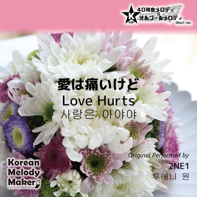 Love Hurts~K-POP 40tone Polyphonic Melody & Music Box (Short Version) Front Cover