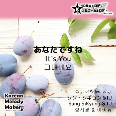 It's You~K-POP 40tone Polyphonic Melody & Music Box (Short Version) Front Cover