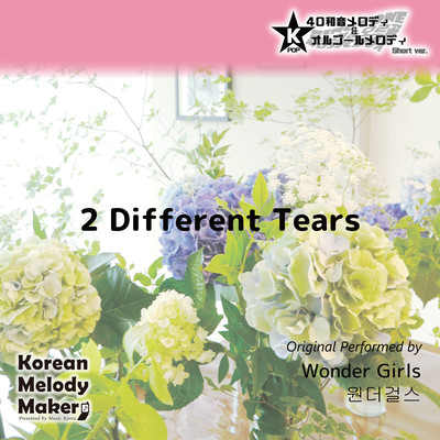 2 Different Tears~K-POP 40tone Polyphonic Melody & Music Box (Short Version) Front Cover