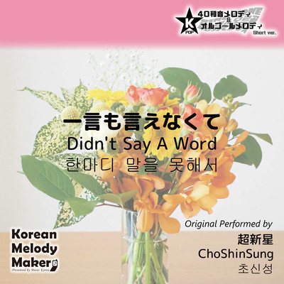Didn't Say A Word~K-POP 40tone Polyphonic Melody & Music Box (Short Version) Front Cover