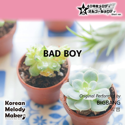 BAD BOY~K-POP 40tone Polyphonic Melody & Music Box (Short Version) Front Cover