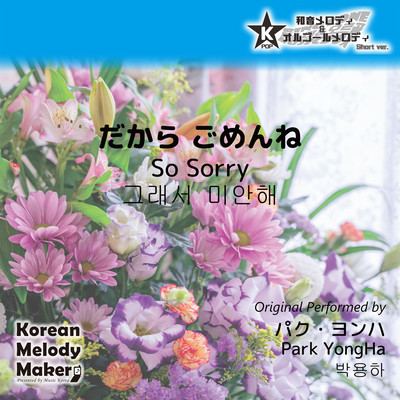 So Sorry~K-POP 40tone Polyphonic Melody (Short Version) Front Cover