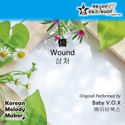 Wound~K-POP 40tone Polyphonic Melody (Short Version) Front Cover