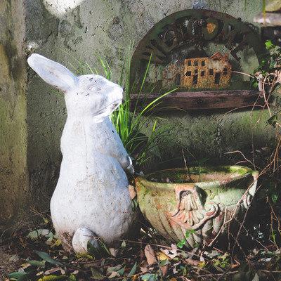 ドリームパレットのジャケット写真