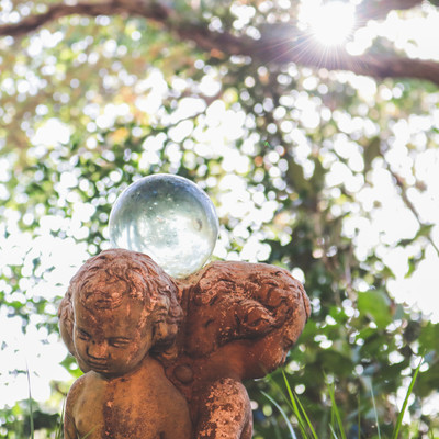 Puppy Love Front Cover