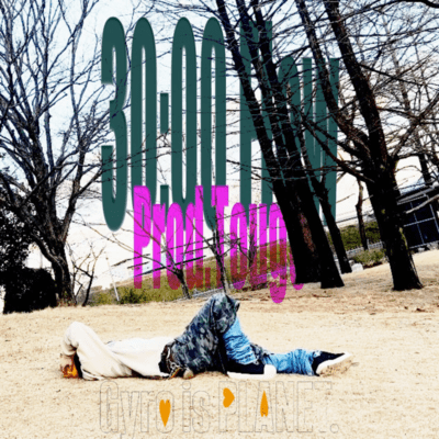 30:00 Flowのジャケット写真