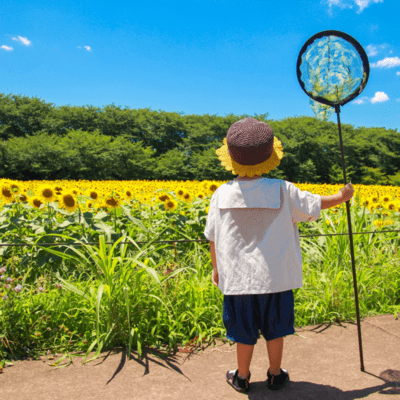 冒険しようよのジャケット写真