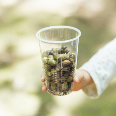 君が宝物〜ママとパパからのうた〜のジャケット写真