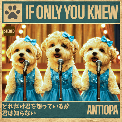 If Only You Knew (STEREO) Front Cover