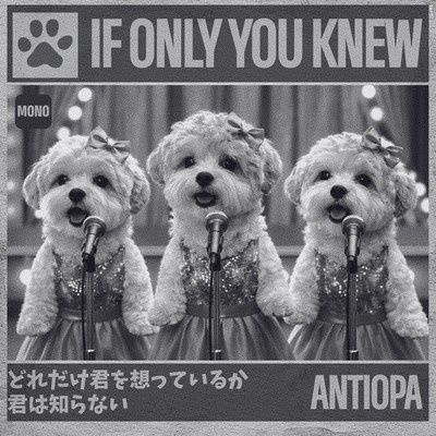 If Only You Knew (MONO) Front Cover