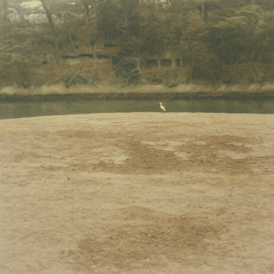 Sōrai (DTM mix ver.) Front Cover