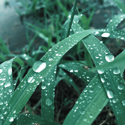 時知る雨 (DTM Mix Version)のジャケット写真