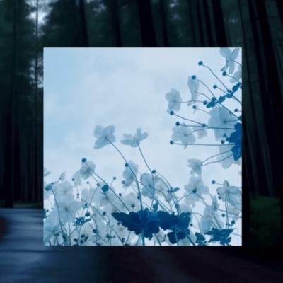 soliloquy Front Cover