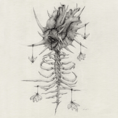 Heart Front Cover