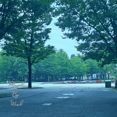 Played By Wind Front Cover