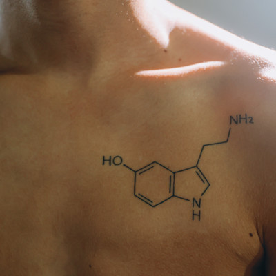 serotonin Front Cover