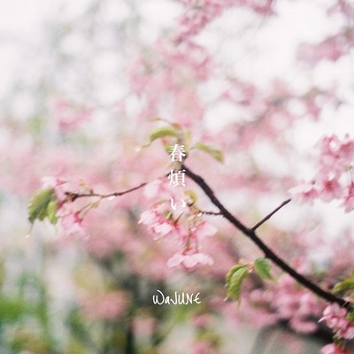 Spring Desease Front Cover