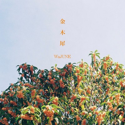 osmanthus Front Cover