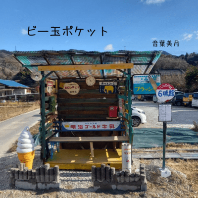 ビー玉ポケットのジャケット写真